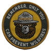 Smokey Bear Only You Can Patch Prévenir les incendies de forêt Préserver le fer tissé