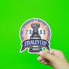 2003 NHL Stanley Cup Jersey Patch Anaheim Ducks vs. New Jersey Devils 