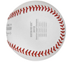 2018 Boston Red Sox World Series AL Champions Baseball Rawlings 